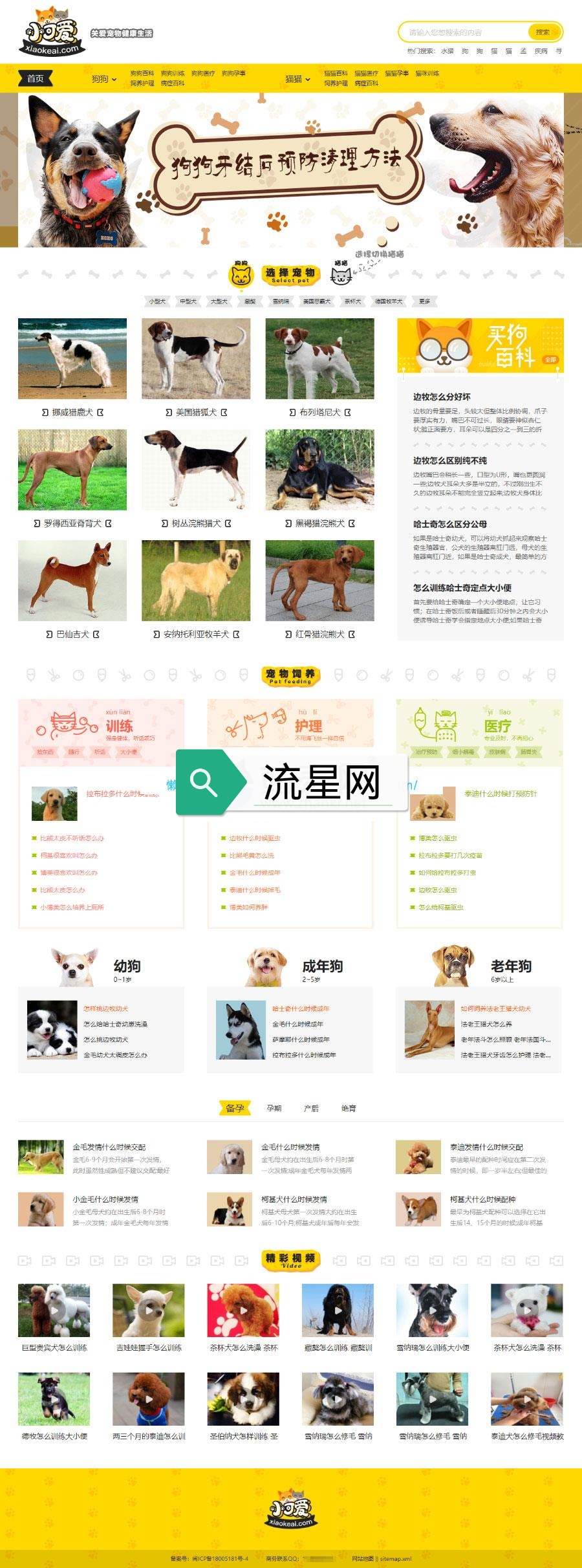 帝国CMS内核仿《小可爱宠物网》宠物资讯平台网站源码完整版+火车头采集+手机版